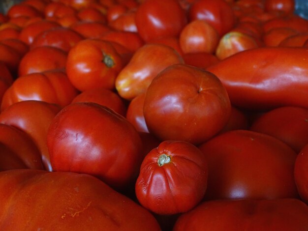 Foto fotografía completa de tomates en el puesto del mercado