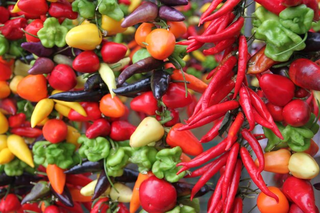 Foto fotografía completa de los tomates