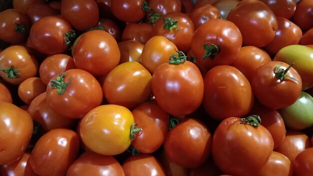 Fotografía completa de los tomates