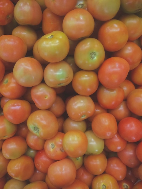 Foto fotografía completa de los tomates