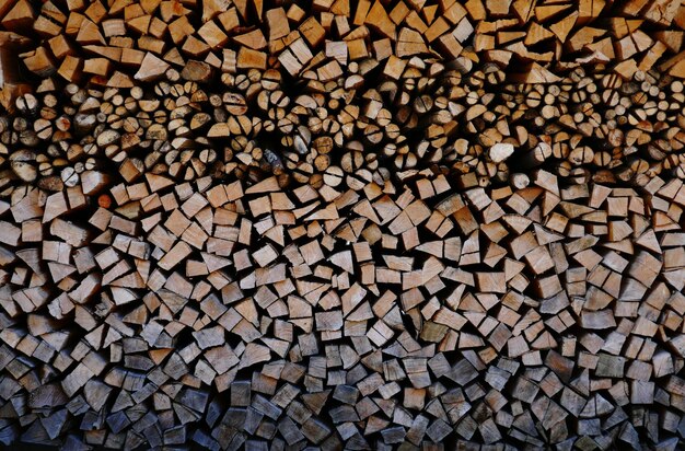 Foto fotografía completa de troncos en el bosque