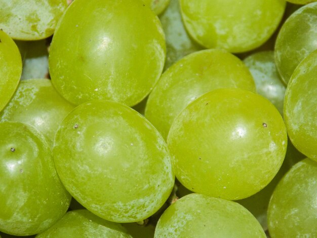 Foto fotografía completa de las uvas