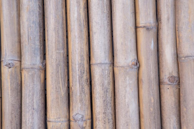 Foto fotografía completa de la valla de bambú
