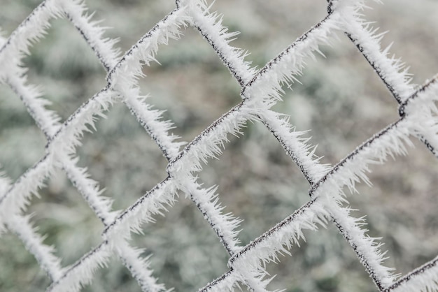 Fotografía completa de la valla de enchaines cubierta de nieve