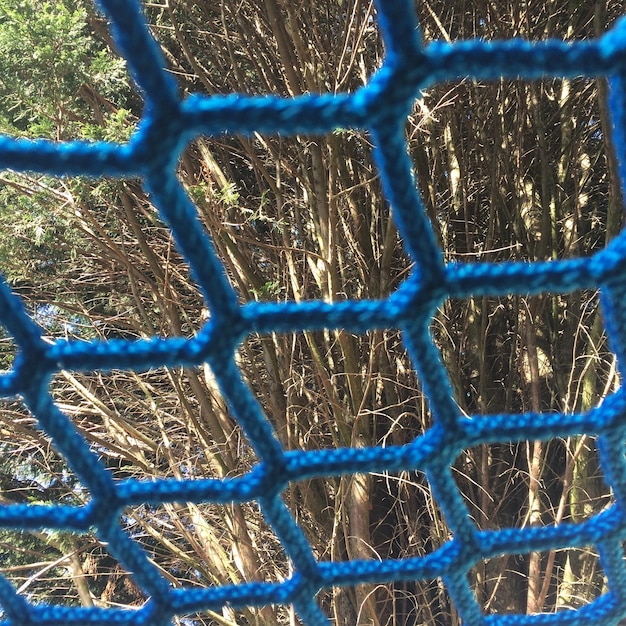 Foto fotografía completa de la valla de enlaces de cadena