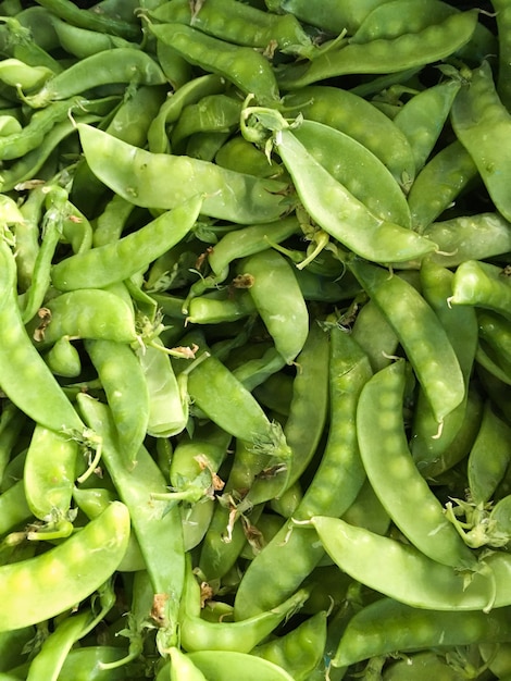 Foto fotografía completa de las verduras