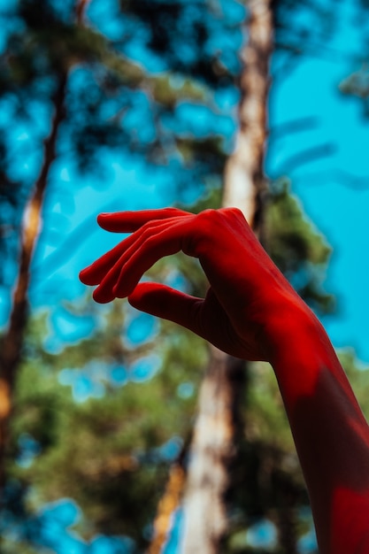 Fotografía conceptual, elegante mano femenina en luz roja. Fondo de bosque