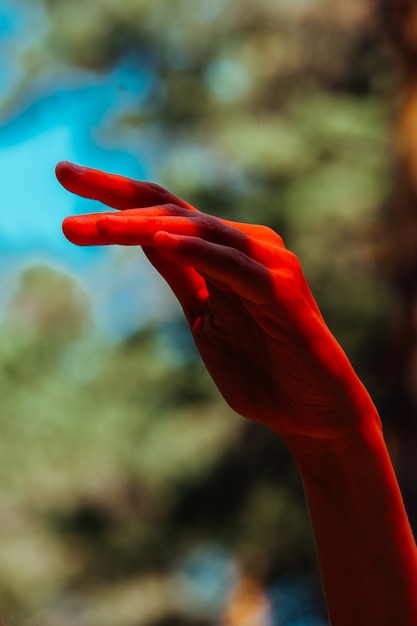 Fotografía conceptual, elegante mano femenina en luz roja. Fondo de bosque