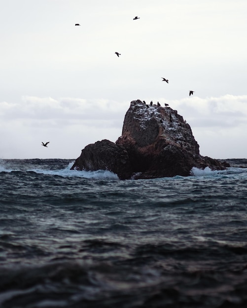 Fotografia da rocha no mar