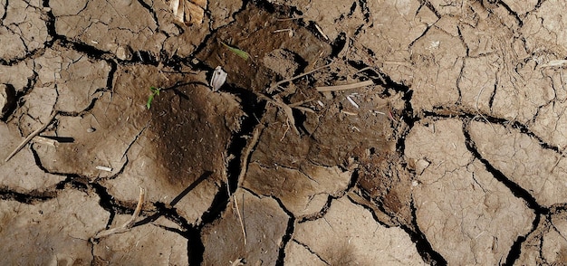 Fotografia da superfície terrestre