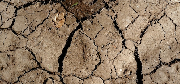 fotografia da superfície terrestre