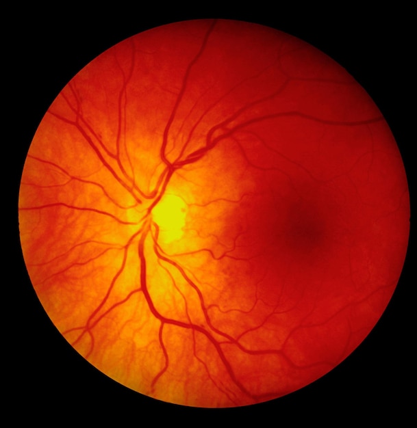 Foto fotografia de fundo retina