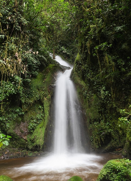 fotografia de longa exposição a uma cachoeira