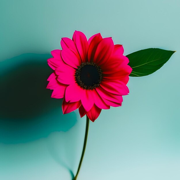 fotografia de modelo e minimalismo de fundo