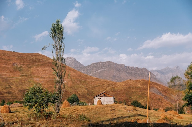 fotografia de montanha de montanha de rio de vida selvagem