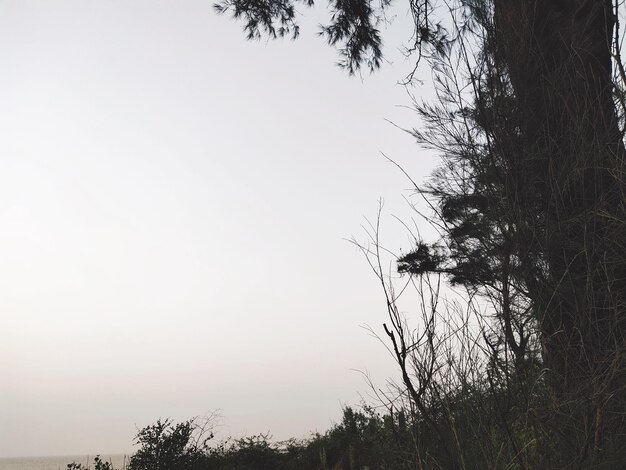 Foto fotografia de natureza com nuvens