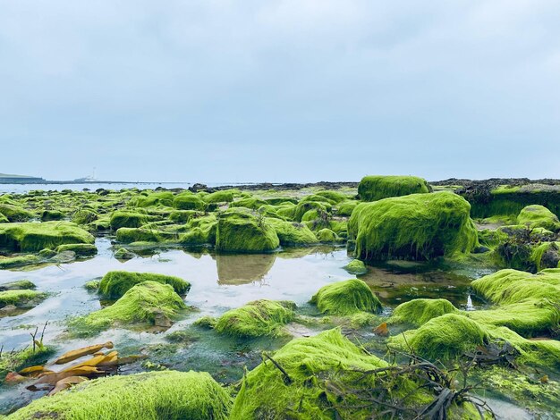 Fotografia de praia