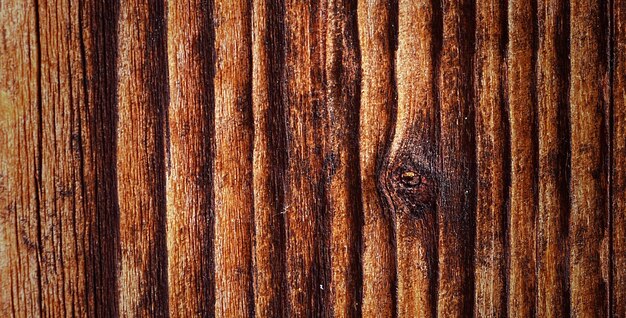 Foto fotografia de uma linda superfície de madeira