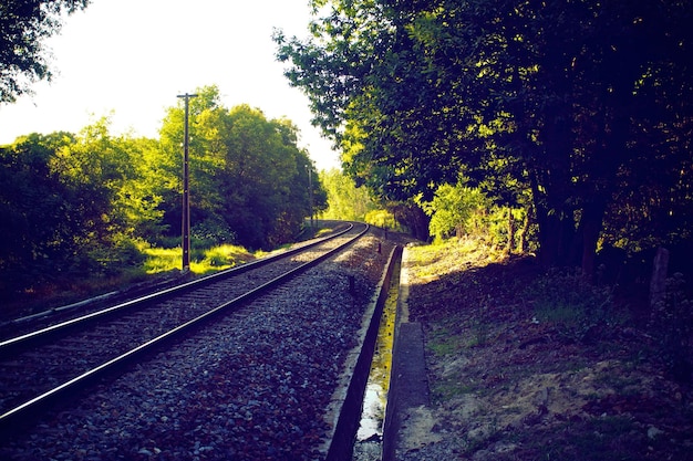 fotografia de visualização premium do trilho de trem