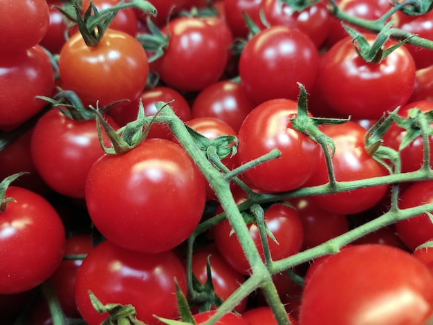 Foto fotografía de deliciosos tomates rojos