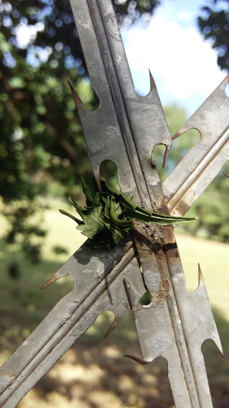 Foto fotografia detalhada da cerca de segurança