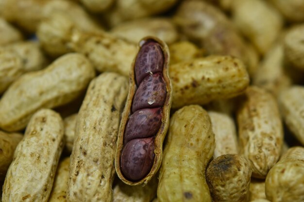 Foto fotografía detallada de la comida