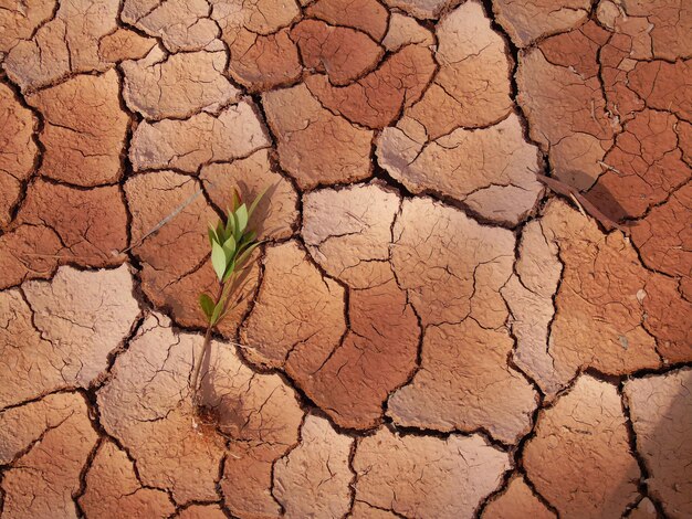 Fotografía detallada de la tierra agrietada