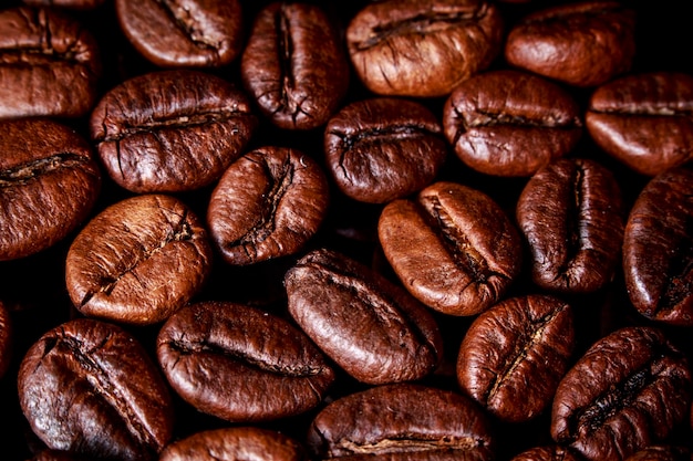 Fotografia em close de grãos de café