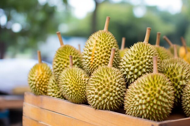 Fotografia em close-up de durian com pouca profundidade de campo Fotografia de imagem de durian