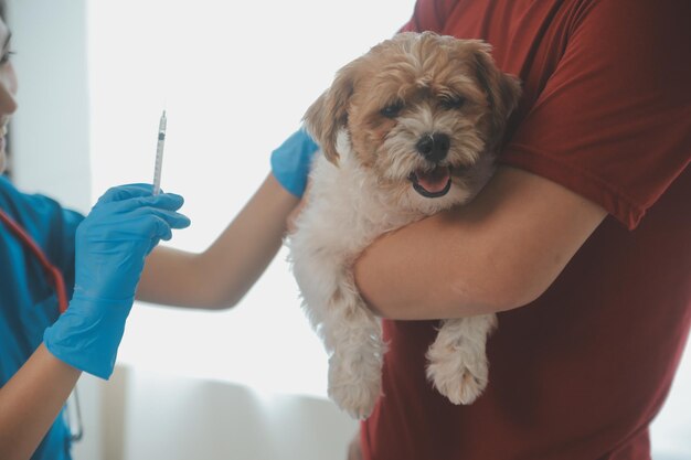 Foto fotografia em close-up de mãos de veterinário verificando o cão por estetoscópio em uma clínica veterinária