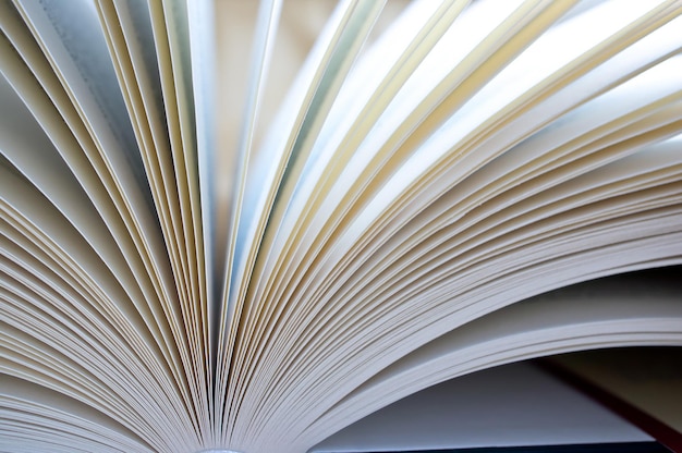 Fotografia em close-up de um livro aberto com capa preta