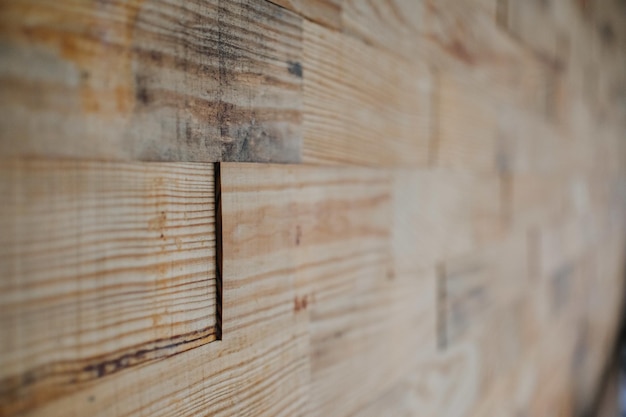Fotografia em close-up do interior da tábua de madeira