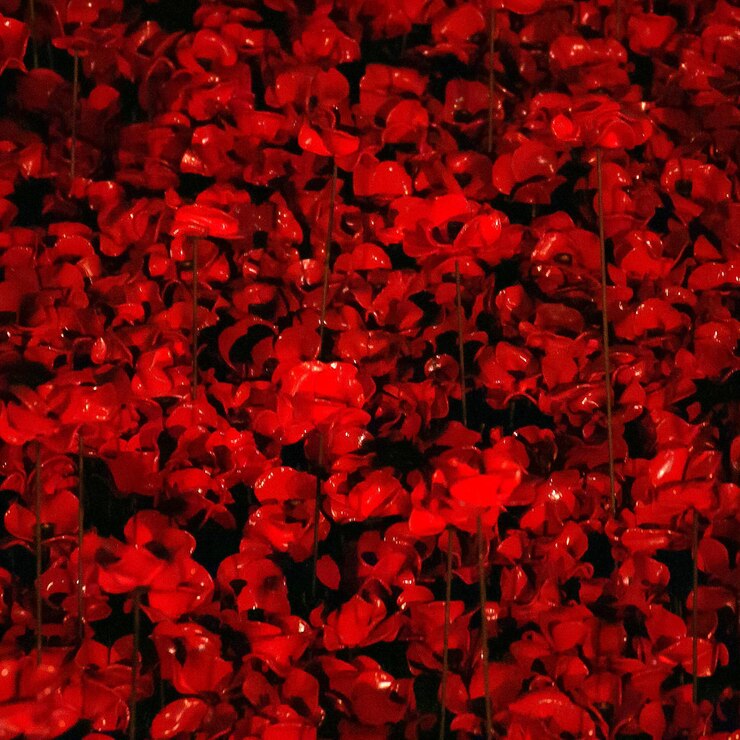 Foto fotografia em quadro completo de fundo branco