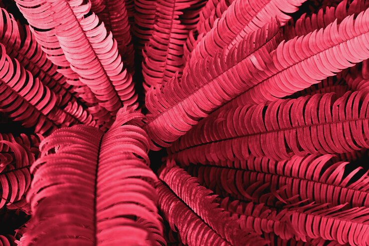 Foto fotografia em quadro completo de uma palmeira tonada em cor viva magenta do ano 2023
