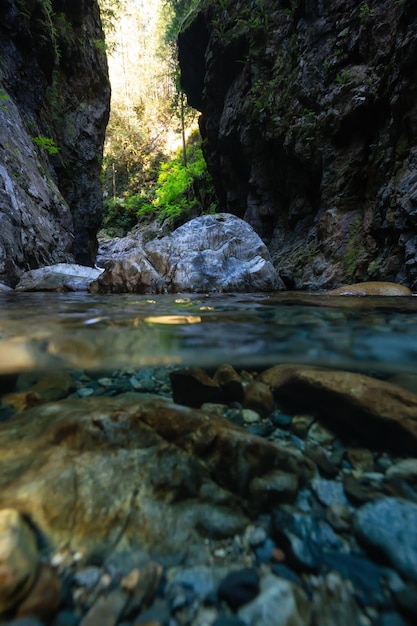 Fotografía por encima y por debajo de un hermoso cañón en Lynn Valley