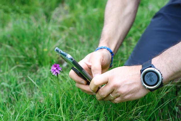 Fotografía de una flor en el prado con un teléfono inteligente.