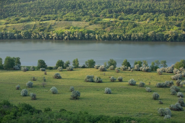 Fotografía con hermosa naturaleza de Moldavia en verano