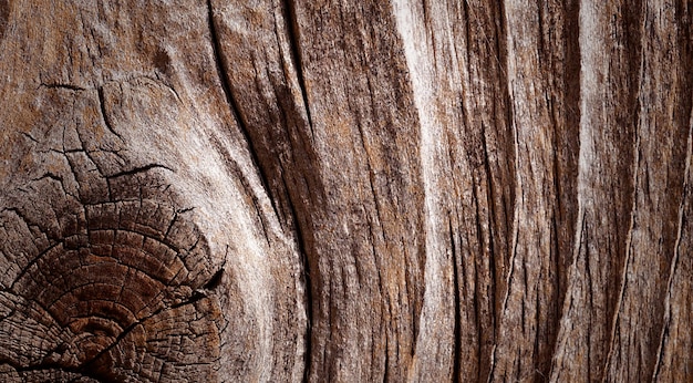 fotografía de una hermosa superficie de madera