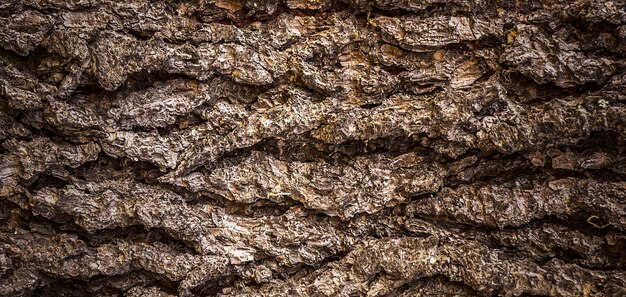 fotografía de una hermosa superficie de madera