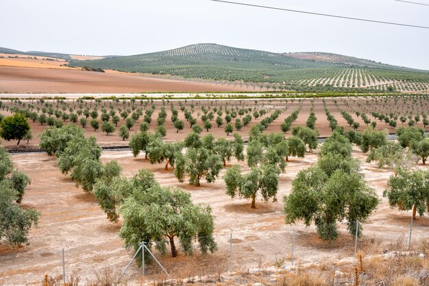 Fotografía de un hermoso paisaje en el sur de España