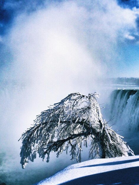 Fotografia idílica de um galho de árvore congelado contra a névoa das cataratas do niágara