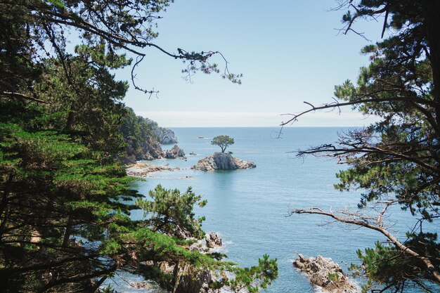 Fotografía de Islote Prenzel en el mar enmarcada por árboles del bosque Día soleado Hualpen Bio Bio Chile