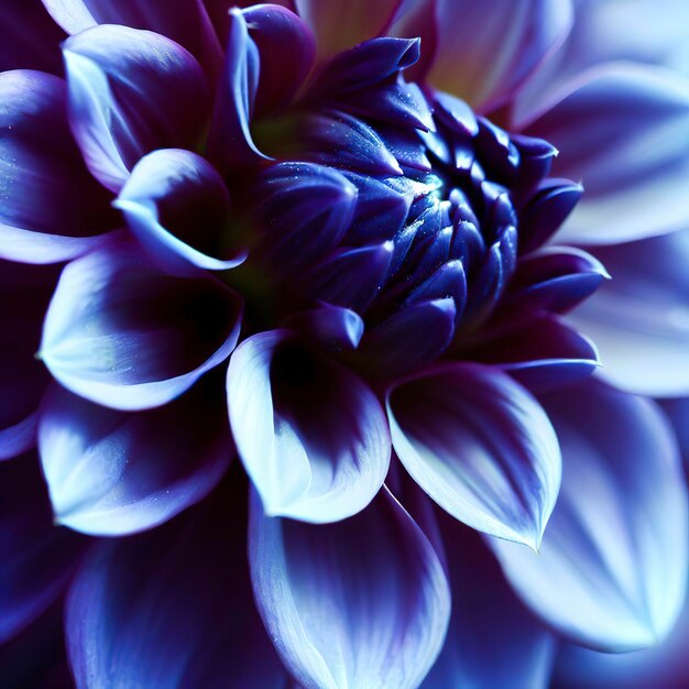 Fotografía macro de la dahlia índigo