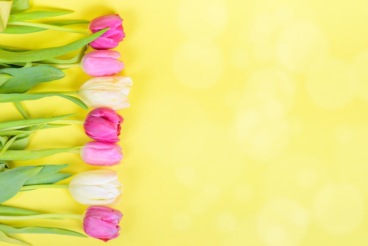 Foto fotografia macro de uma estranha tulipa multicolorida contra um fundo desfocado