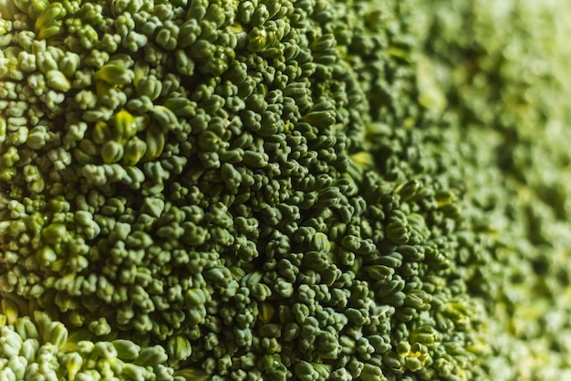 Fotografía macro de flores de brócoli verde