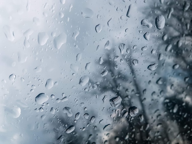 Fotografía macro de gotas de lluvia en una ventana