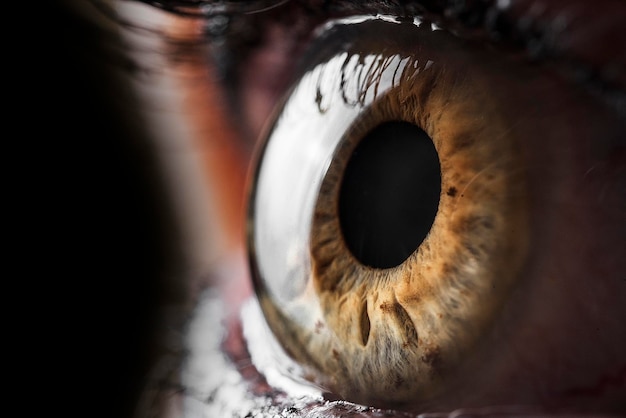 Fotografía macro del ojo humano