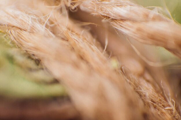 Fotografía macro de una vieja cuerda ordinaria hecha de fibra natural con un enfoque suave y selectivo
