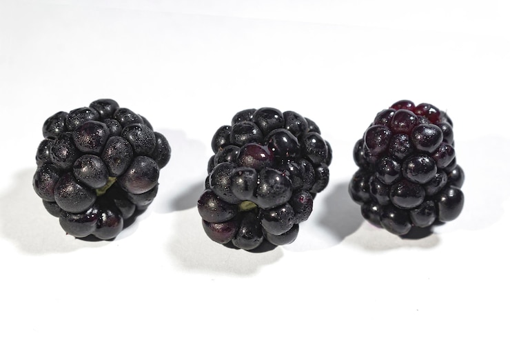 Foto fotografía de moras frescas en el banco de fondo tres frutos del bosque