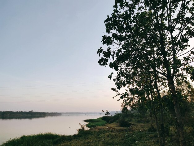 Foto fotografía de la naturaleza cerca de la orilla del río con barco y árboles